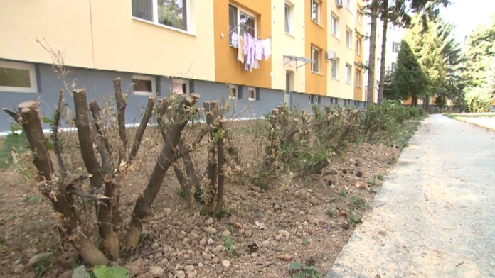 huseniceweb_jpg_bez_watermarku_1.jpg