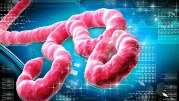 17 KE Nebezpecny virus DEMO IKONA.transferweb_jpg_bez_watermarku_1.jpg