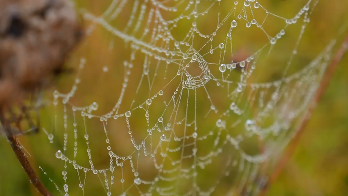 Ilustračná snímka