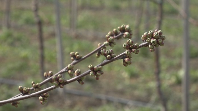 ludia v karantene_tvnoviny.mp4