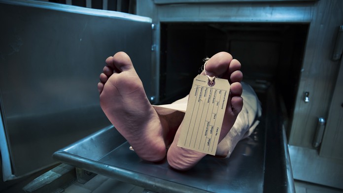 Márnica- ilustračná snímka.