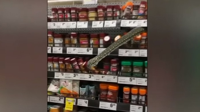 Nečakaný tovar: V supermarkete vystrašil zákazníčku trojmetrový had