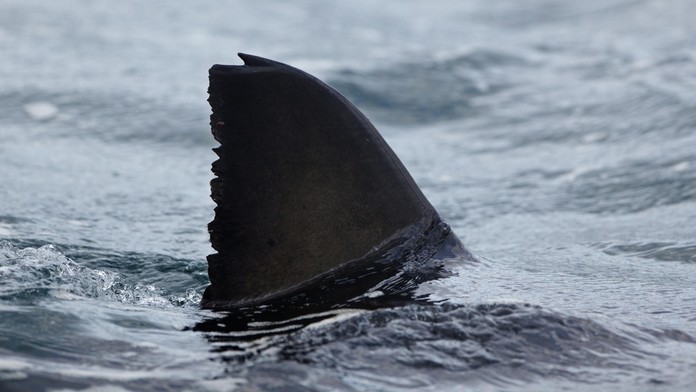 Ilustračná snímka