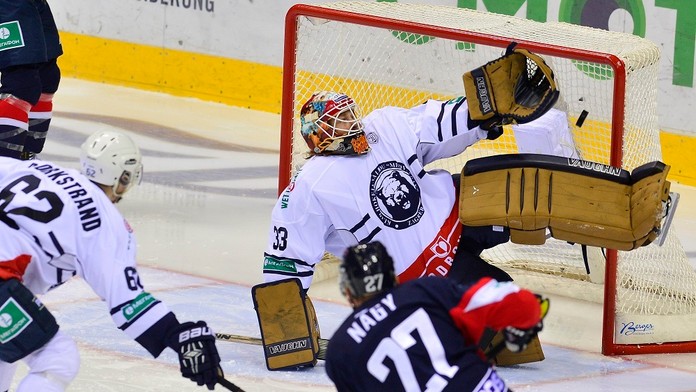 Medveščák Záhreb.