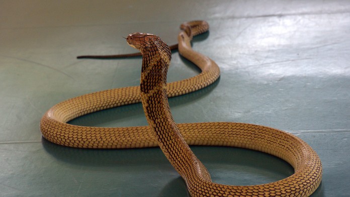 Matky a dcéry: 9. a 10. epizóda