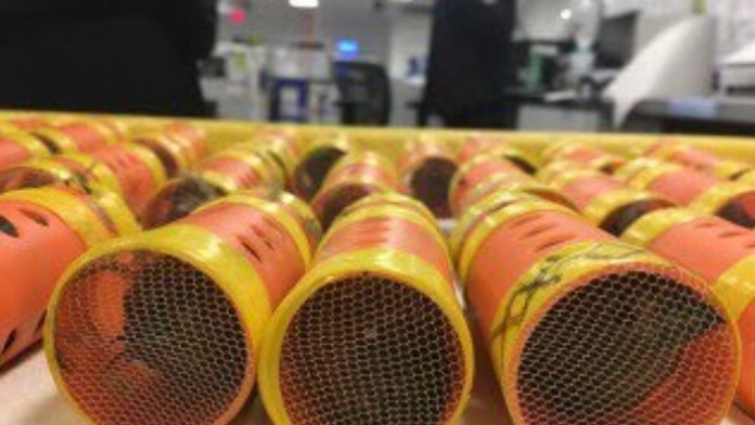 V týchto tubách boli vtáky ukryté.