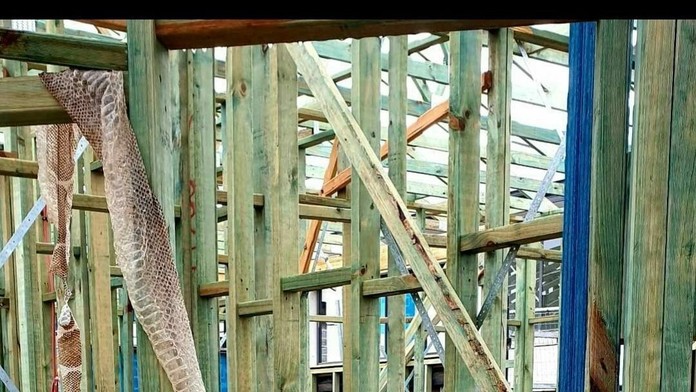 Rusi oslavujú gól v kvalifikácii ME 2020 na Cypre.