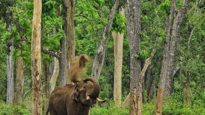 enex_tiger_tvnoviny.mp4