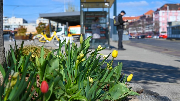 ľudia, jar, zastávka, mhd