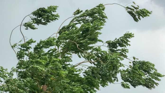 Dážď nebude jediný problém. Tieto časti Slovenska sa musia pripraviť aj na silný vietor nad 100 km/h