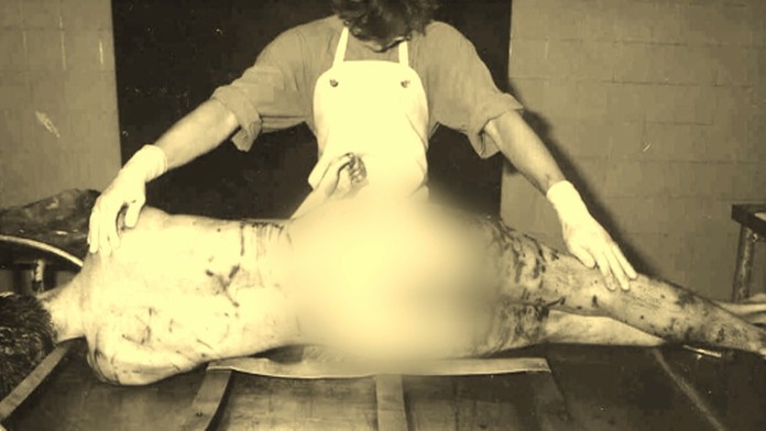 Zabitý nemecký študent.