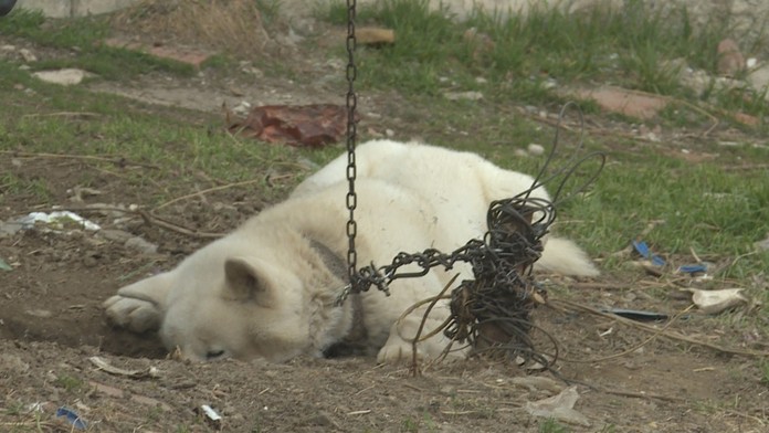 Sudcovia_tvnoviny.mp4