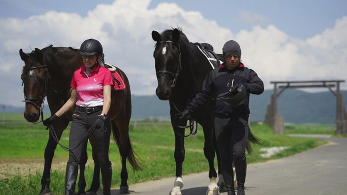 spanielsko kolotocweb_jpg_bez_watermarku_1.jpg