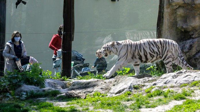 Ilustračná snímka