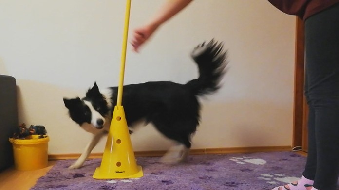 Na snímke poslanci zľava Ladislav Kamenický a Robert Fico 