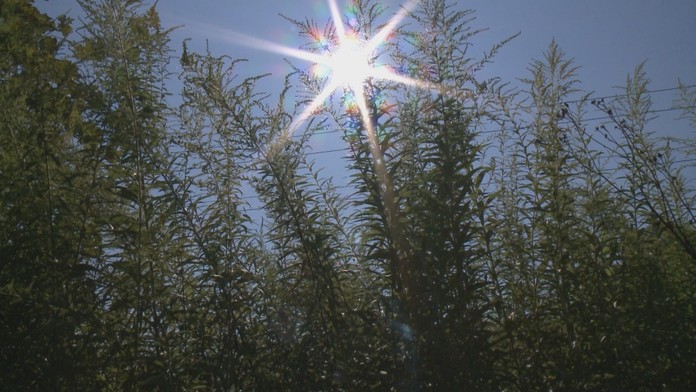 Ilustračná snímka.