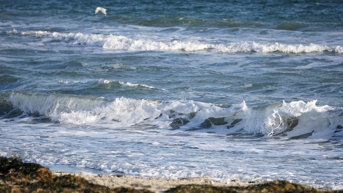 Vedci výskyt rias zatiaľ nevedia zredukovať.