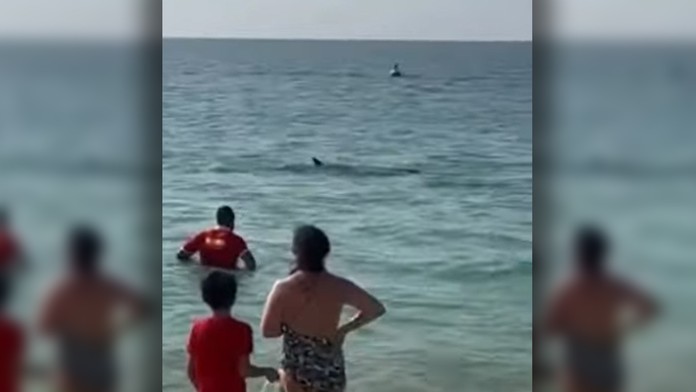 VIDEO: Dovolenkári zažili na pláži v Dubaji chvíle hrôzy. Odrazu sa pri nich zjavil žralok