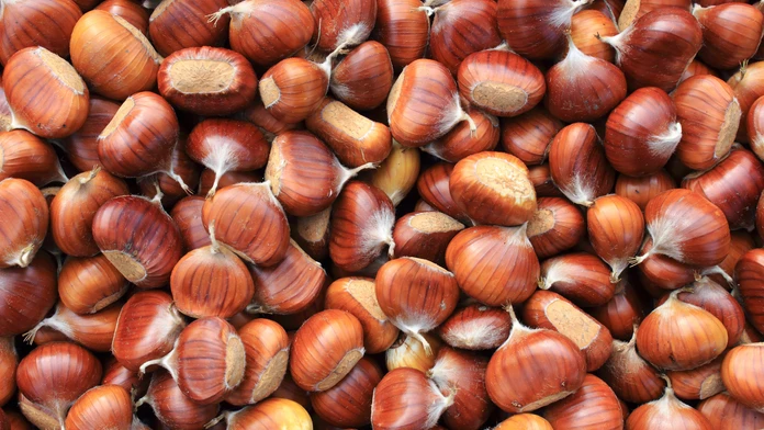 shutterstock_158597897.jpg