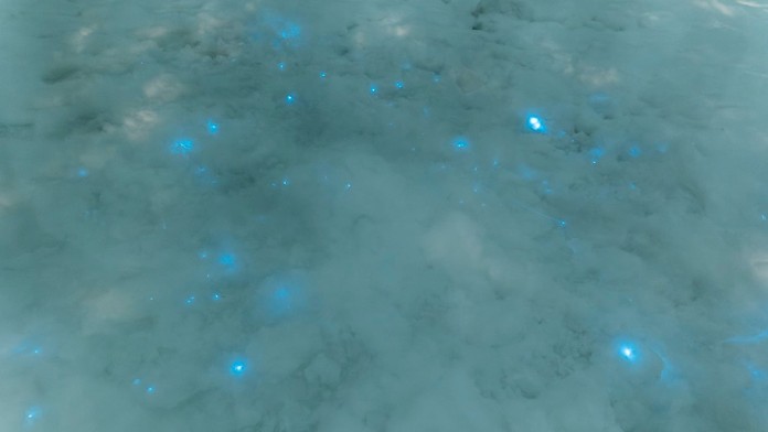 Svetielkujúci sneh.