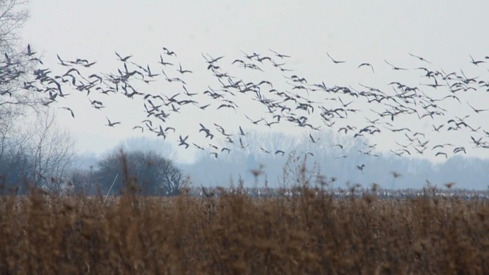 Nová primátorka Gdanska Aleksandra Dulkiewiczová