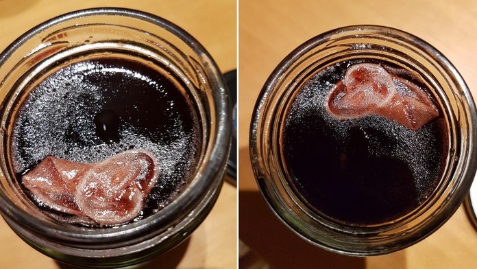 Obrázok uverejnil na stránke raťazca.