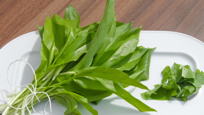 Medvedí cesnak - ilustračná snímka