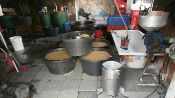 Výrobňa tofu v Česku