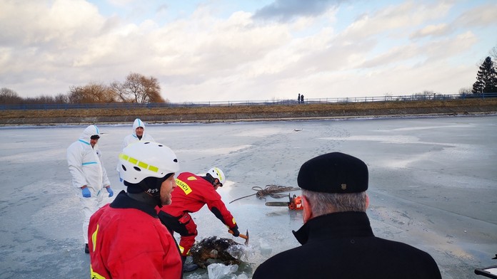 Z ľadu vyťahovali mladého diavaka.