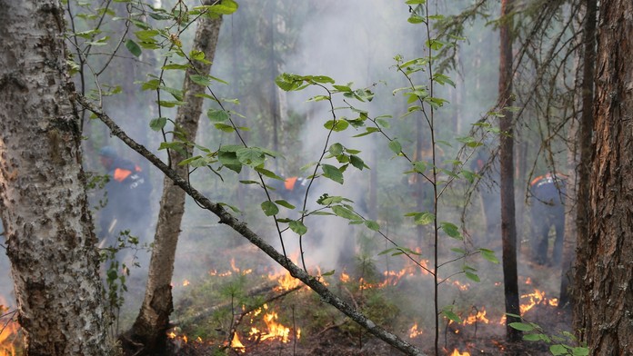 1208_Sila_zeny_II__12_08_P30_Po_20_30__12.mp4