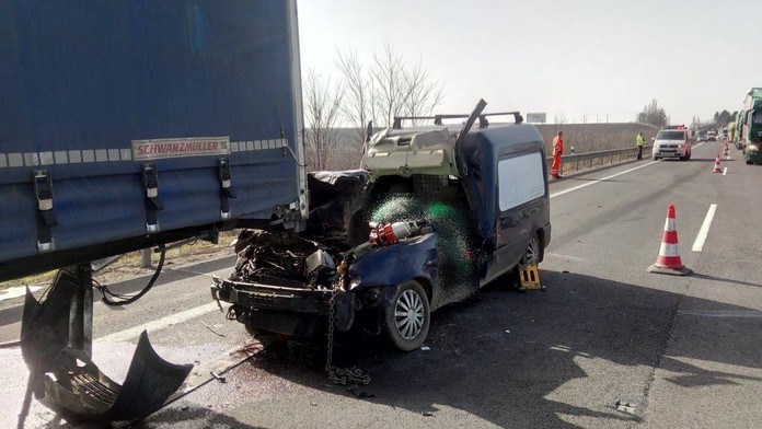 Ukradli psíkov Lady Gaga