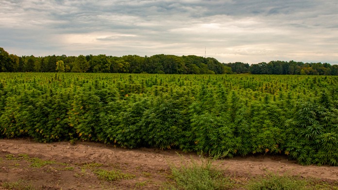 Ilustračná snímka.