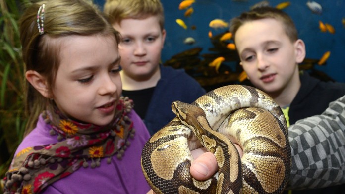 Ilustračná snímka.