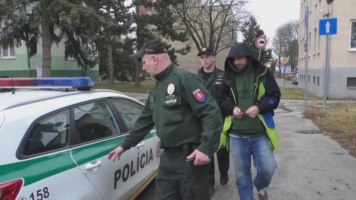 Zničené stromčeky.