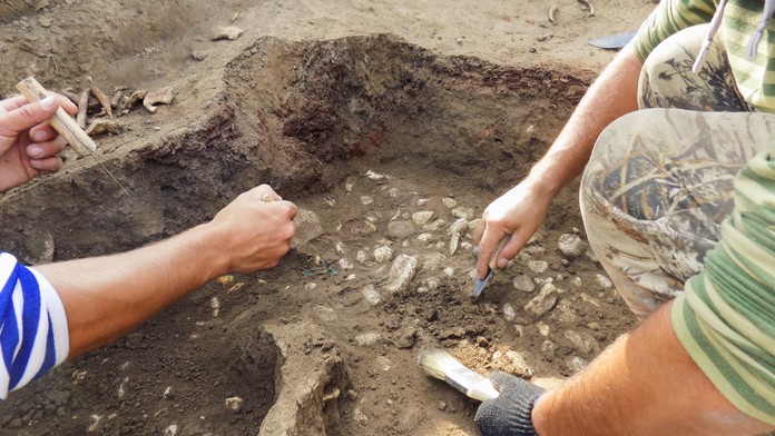 Unikátny nález českých vedcov: Objavili neznámy druh pravekej šelmy, ktorá žila na našom území