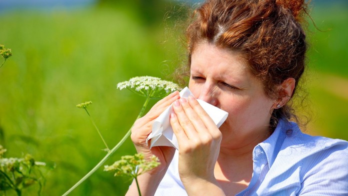 Alergie (ilustračná snímka)