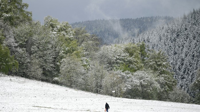 Po náraze do stromu zahynul mladý pár