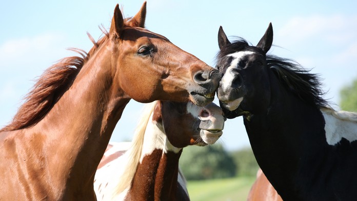 Ilustračná snímka.