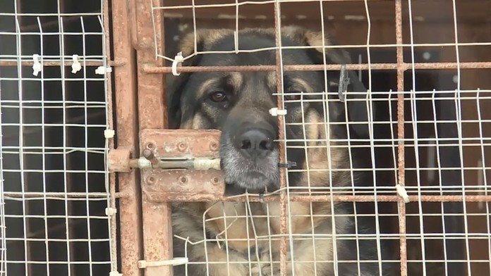 Biatlonista Johannes Thingnes Bö v cieli vytrvalostných pretekov na MS v Östersunde.