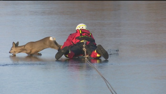 Vianočné trhy s Nadáciou Markíza