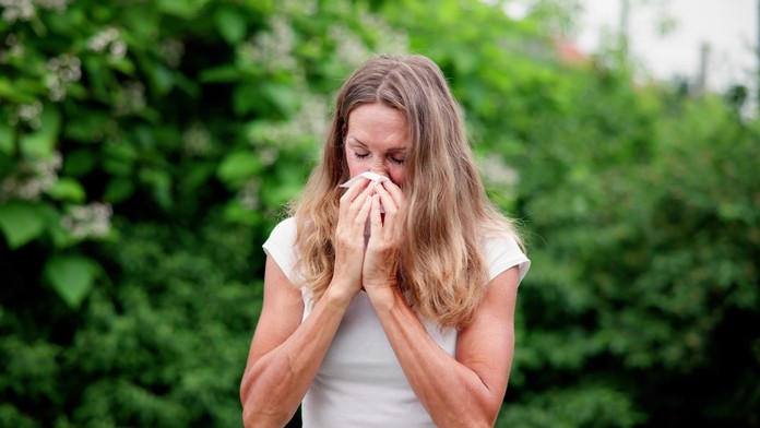 Alergia, senná nádcha (ilustračná snímka)