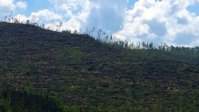 Slovenské rudohorie po veternej smršti