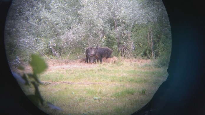 Samo Vozár nájde v sklade bábätko.