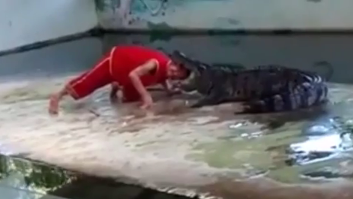 Vystúpenie nedopadlo podľa predstáv. 