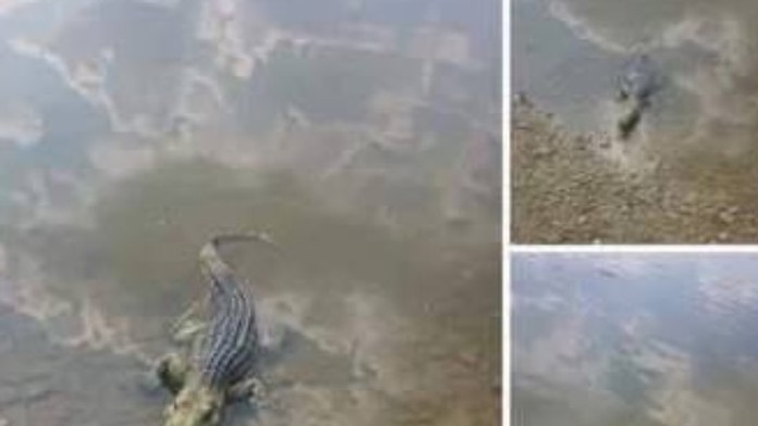 Screenshot zverejnili policajti.