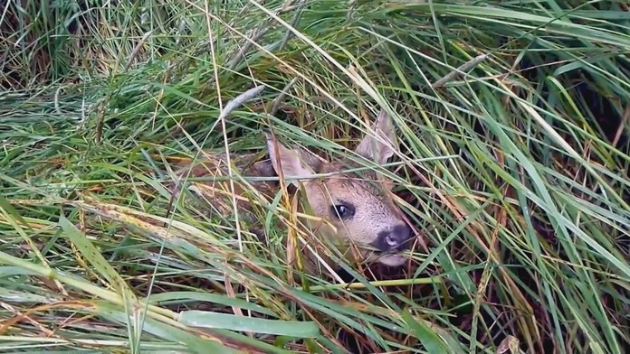 Júnová sánkovačka.