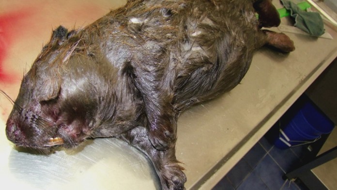 Ilustračná snímka.