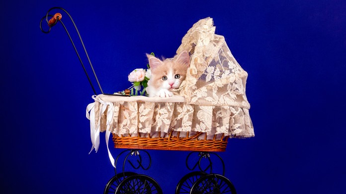 dansko_ponorka_tvnoviny.mp4