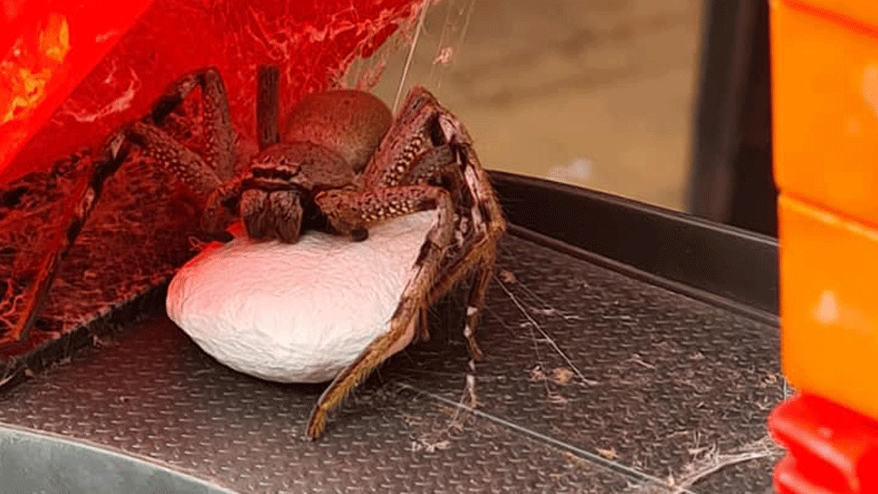 Susedia_01_03_P40_Po_01_03__12.mp4