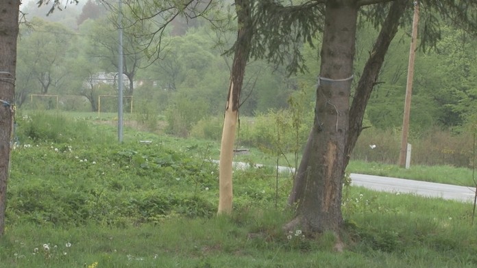 Trestanca Daniela Lewisa Leeho usvedčeného z vraždy trojčlennej rodiny z roku 1996 mali popraviť smrtiacou injekciou v americkom